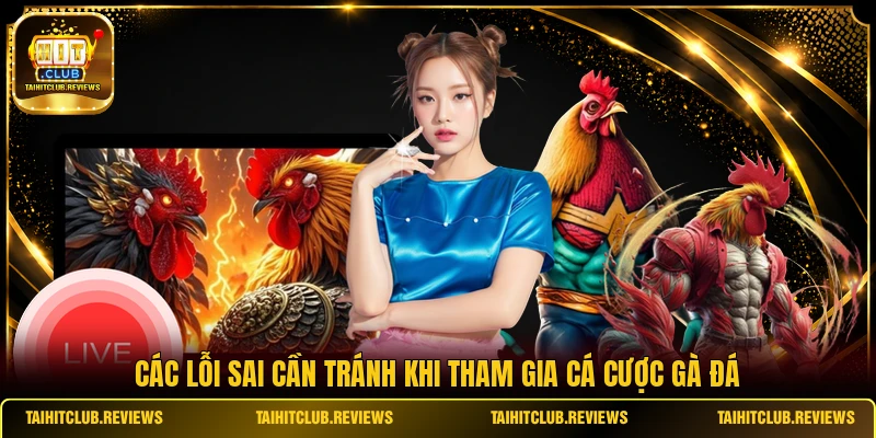 Các lỗi sai cần tránh khi tham gia cá cược gà đá