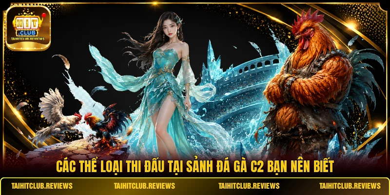 Các thể loại thi đấu tại sảnh đá gà C2 bạn nên biết