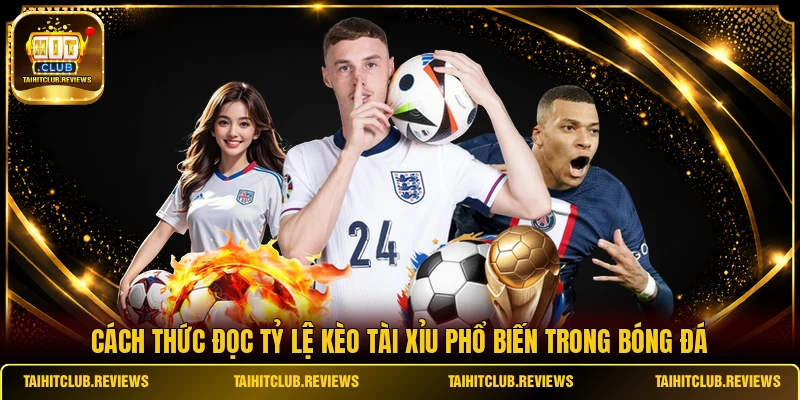 Cách thức đọc tỷ lệ kèo tài xỉu phổ biến trong bóng đá