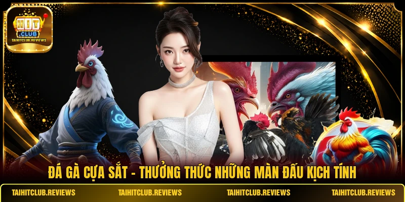 Đá Gà Cựa Sắt