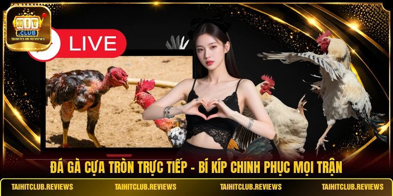 Đá Gà Cựa Tròn Trực Tiếp