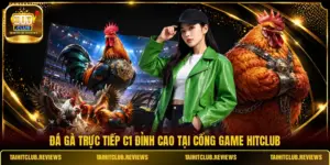 Đá Gà Trực Tiếp C1