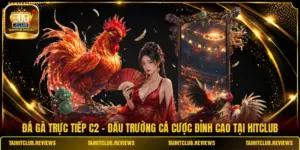 Đá Gà Trực Tiếp C2