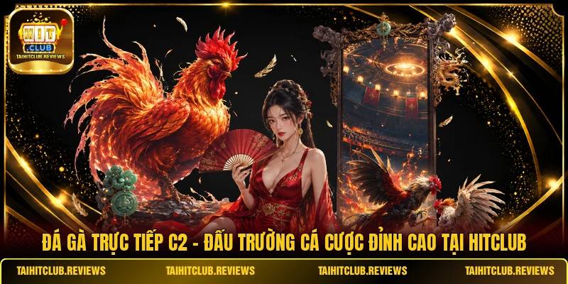 Đá Gà Trực Tiếp C2