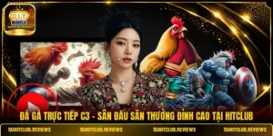 Đá Gà Trực Tiếp C3