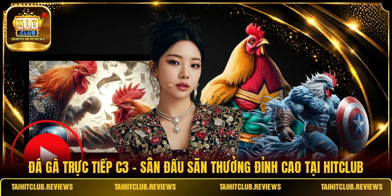 Đá Gà Trực Tiếp C3