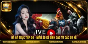 Đá Gà Trực Tiếp C4