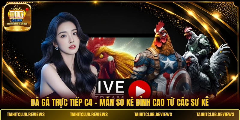 Đá Gà Trực Tiếp C4