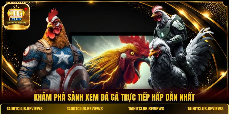 Khám phá sảnh xem đá gà trực tiếp hấp dẫn nhất