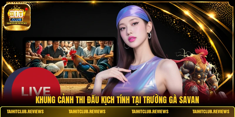 Khung cảnh thi đấu kịch tính tại trường gà Savan