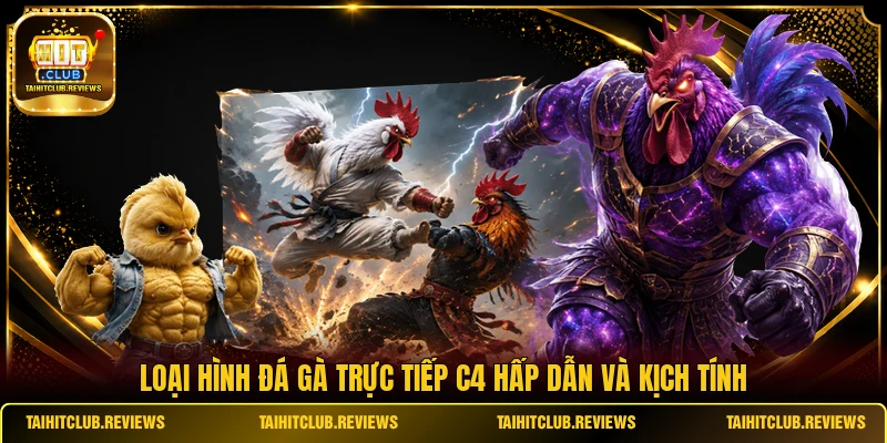 Loại hình đá gà trực tiếp C4 hấp dẫn và kịch tính