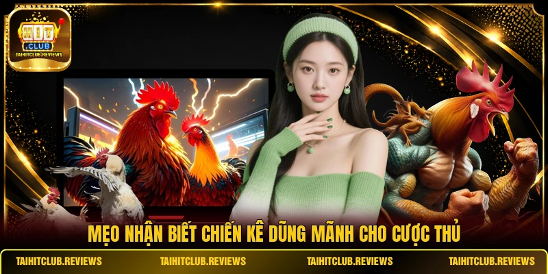Mẹo nhận biết chiến kê dũng mãnh cho cược thủ