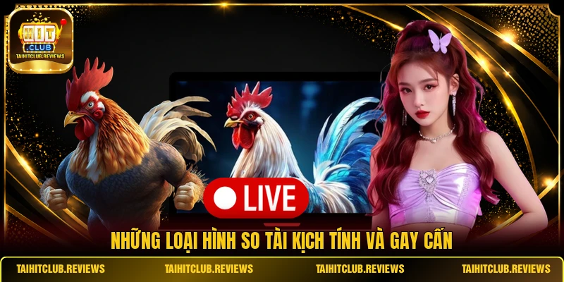 Những loại hình so tài kịch tính và gay cấn