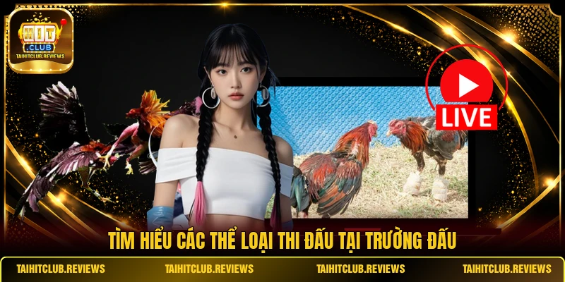 Tìm hiểu các thể loại thi đấu tại trường đấu