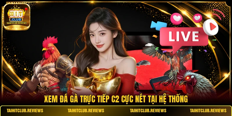 Xem đá gà trực tiếp C2 cực nét tại hệ thống