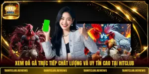 Xem Đá Gà Trực Tiếp