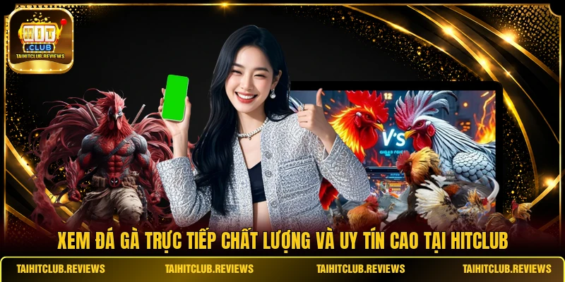 Xem Đá Gà Trực Tiếp